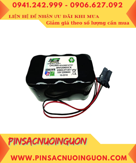 8N1200SCK OKUMA E5503-377-001, Pin nuôi nguồn PLC 8N1200SCK OKUMA E5503-377-001