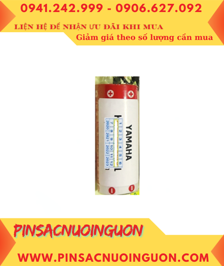 Yamaha SR1-X _Pin nuôi nguồn Yamaha SR1-X lithium 3.6v 2750mAh (Xuất xứ Nhật)