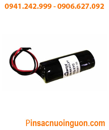 Pin Allen Bradely 1770-XYC; Pin 1770-XYC; Pin nuôi nguồn PLC Allen Bradley 1770-XYC lithium 3v _Made in Japan