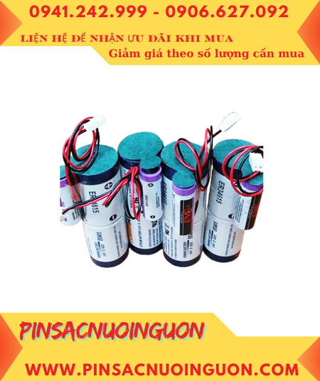 RAMWAY 2ER34615-1SPC1550 (3 viên kết như hình), Pin nuôi nguồn RAMWAY 2ER34615-1SPC1550 lithium 3.6V