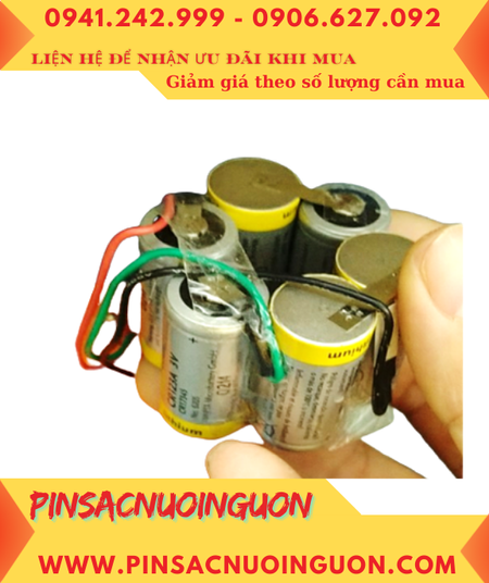 Pin Hàng hải Phao EPIRBE5, Sep-500, SART S4, SARTTRON 20S (12v-1300mAh Lithium ko sạc)