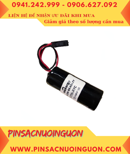 Allen Bradley AB 1770-XYV; Pin nuôi nguồn Allen Bradley AB 1770-XYV _Japan AB 1770AYC/A