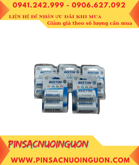 COMBO 01HỘP 10vỉ=20viên Pin sạc 1.2V Beston R20 D5000mAh chính hãng _Giá chỉ 1.490.000/Hộp