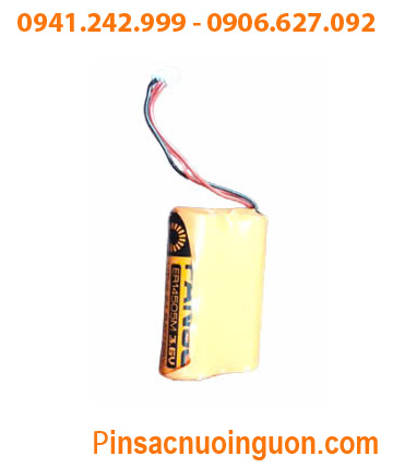 FANSO 2ER14505M _Pin nuôi nguồn PLC FANSO 2ER14505M lithium 3.6v 5200mAh (2 viên ghép đôi như hình)