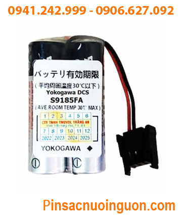 YOKOGAWA S9158FA; Pin nuôi nguồn YOKOGAWA S9158FA 3.6v 5400mAh (2viên ghép đôi) _Xuất xứ Nhật