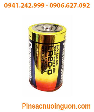 Panasonic LR20.D (XWA), Pin nuôi nguồn PLC Panasonic LR20.D (XWA) alkaline 1.5v /Xuất xứ Bỉ (Belgium)