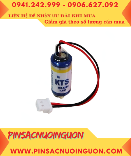 Pin lập trình DELTA KTS ER14250 Pin nuôi nguồn KTS ER14250 lithium 3.6V 1/2AA 1200mAh chính hãng
