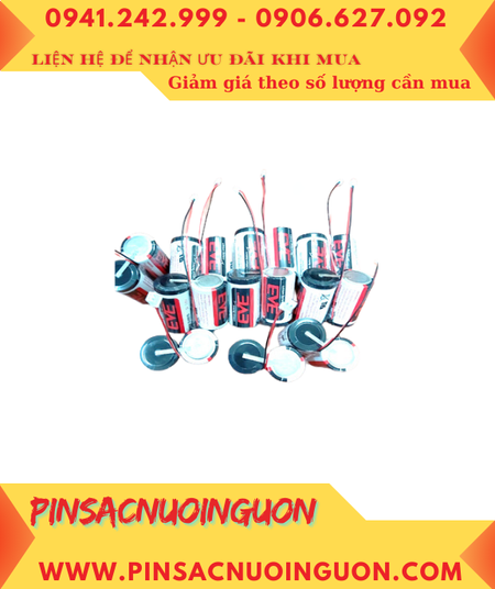 EVE ER34615; Pin nuôi nguồn EVE ER34615 lithium 7.2v 19000mAh (2 viên ghép đôi như hình)