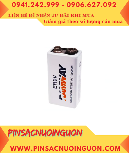 RAMWAY ER-9V; Pin nuôi nguồn RAMWAY ER-9V lithium 9v 1200mAh chính hãng