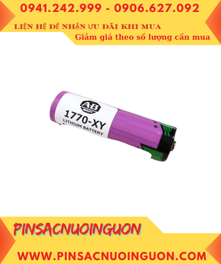 Allen Bradley 1770-XY, Pin nuôi nguồn PLC Allen Bradley 1770-XY chính hãng _Xuất xứ ISRAEL