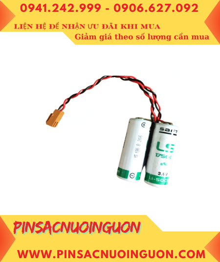 CV 2024 12 28T152843 543