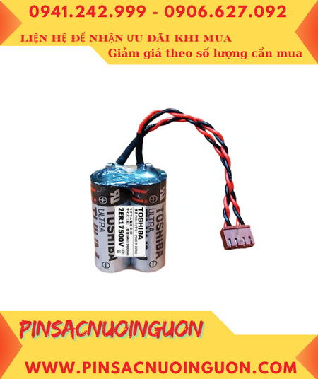 Toshiba 2ER17500V; Pin nuôi nguồn Toshiba 2ER17500V 3.6v 5400mAh (2 viên ghép đôi) _Xuất xứ Nhật