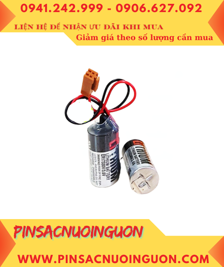 CV 2024 12 30T141458 642