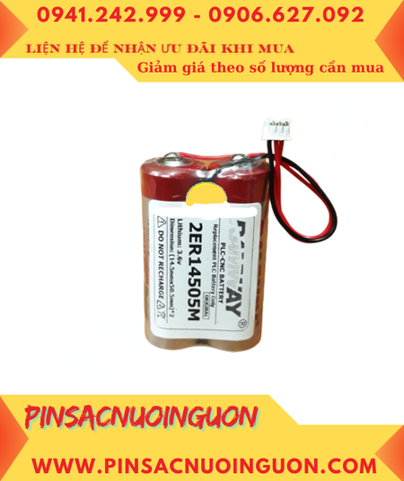 RAMWAY 2ER14505M (2 viên ghép đôi); Pin nuôi nguồn RAMWAY ER14505M AA 2200mAh lithium 3.6v