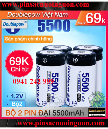 Pin D Đại - Sạc Pin Đa Năng DP-K32 Cho Pin 2A/3A/9V/D/C Doublepow Tự Ngắt1